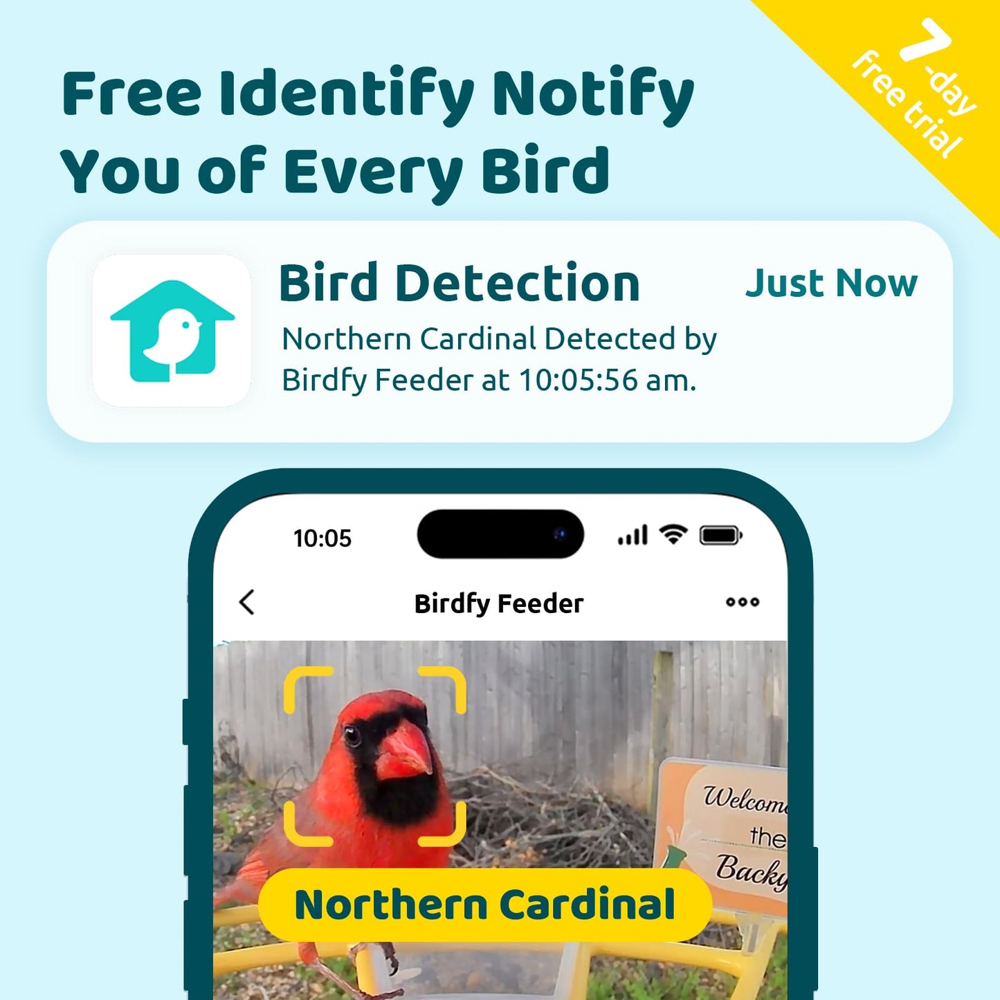 NETVUE by Birdfy Pro Smart Bird Feeder with Camera Solar Panel, Instant Arrival Alerts, Live Stream & Night Vision for Outdoors & Backyard Hummingbird, Cardinalis & Oriole Watching, Ideal Gifts, Blue