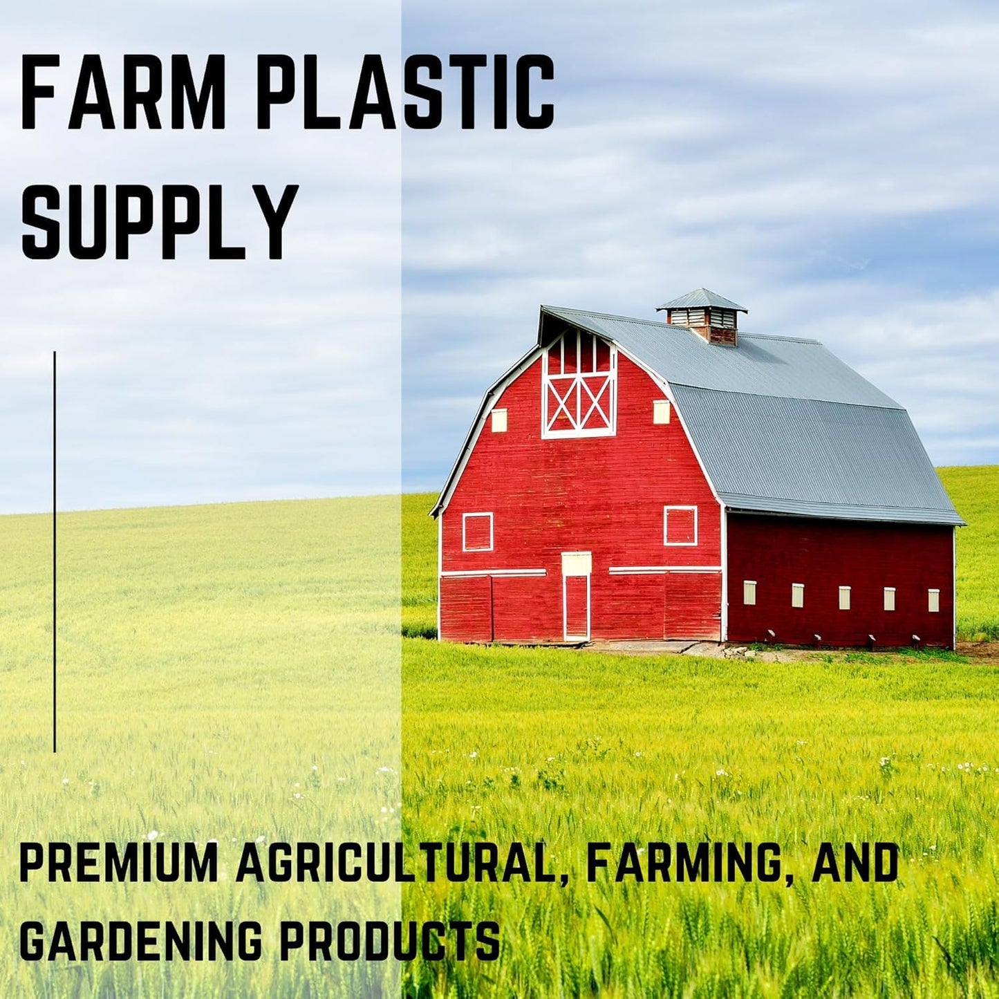 Farm Plastic Supply - Bamboo Garden Stakes - Bambo Sticks, Bamboo Plant Stakes for Outdoor Plants, Plant Support Stakes for Indoor Plants (4 Foot, 5)