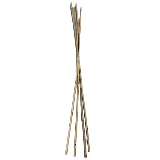 Farm Plastic Supply - Bamboo Garden Stakes - Bambo Sticks, Bamboo Plant Stakes for Outdoor Plants, Plant Support Stakes for Indoor Plants (7 Foot, 20)