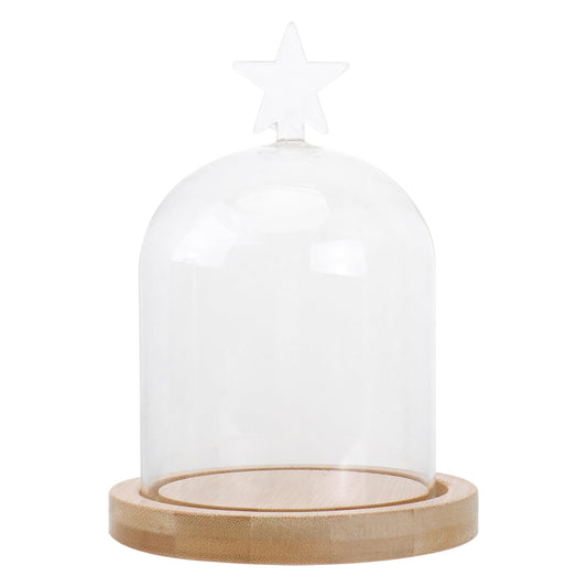 ULTECHNOVO Glass Display Dome Cloche with Solid Wood Base, Clear Glass Dome Cloche Bell Terrarium Jar for Plants, Collectibles And Figurines