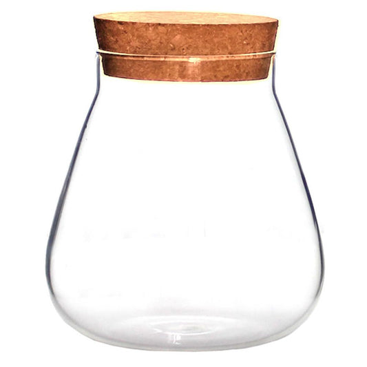 Ciieeo Creative Glass Bottle Ornament 4.52X3.93X3.93In Clear Terrarium Jar with Cork Lid for Mini Plant Display Diy Crafts Home D Cor Accent