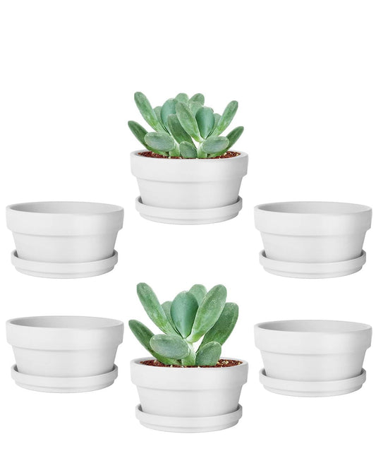 vensovo 3.7 Inch White Terracotta Shallow Succulent Pots - 6 Pack Terra Cotta Clay Pot with Saucer, Cacuts Indoor and Outdoor Planters with Drainage Hole