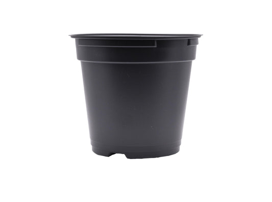Daisy J&M 100ct Black Round 4.33" Pots with Holes