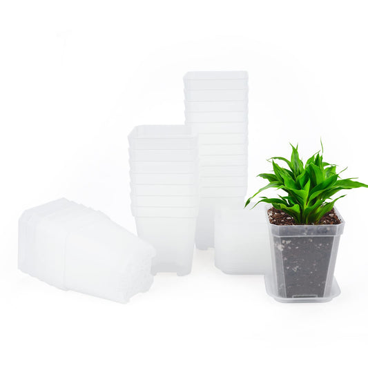 KINGLAKE 3inch Nursery Pots,24 Pcs Thick Plastic Square Planter Pots,Flower Plant Container Seed Starting Transplanting Pots (Clear)