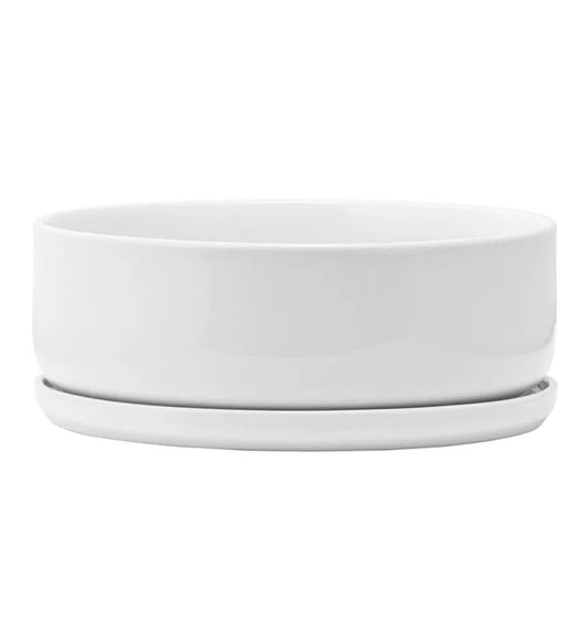 Napco Modern and Minimal Circular Design 7.25 x 7.25 x 2.25 inches White Ceramic Flower Succulent Plant Pot Planter Container Holder with Saucer Tray, Indoor Outdoor Garden Décor