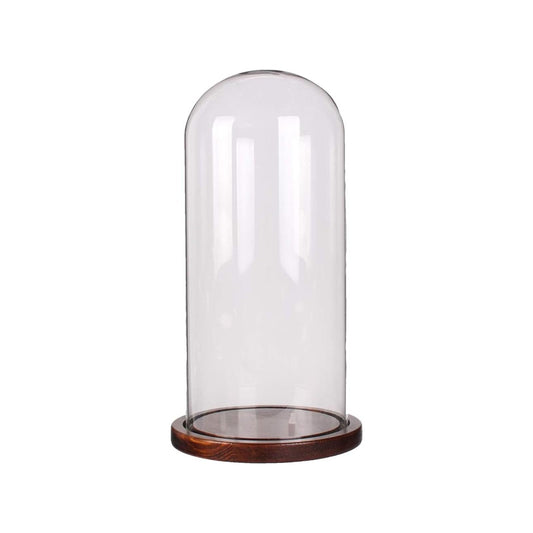 PTAHAN Glass Cloche Dome with Coffee Wood Base - 4.7" x 11" Display Case for Terrariums, Collectibles & Home Decor, Glass Dome Cloche with Natural Wood Base, Bell Jar Display Cover