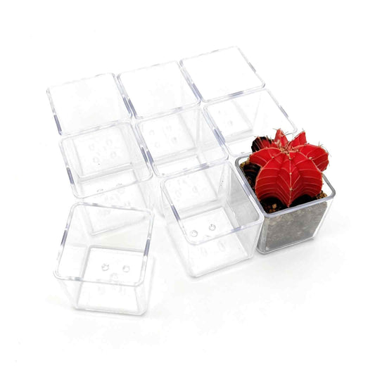 QCSMBFL 9pcs Mini Square Flower Pots, 1.7in Clear Plastic Planter with Drainage Hole - Lightweight Indoor Desktop Nursery Decorative Pot for Succulents, Cactus, Seedlings, Home Greenery