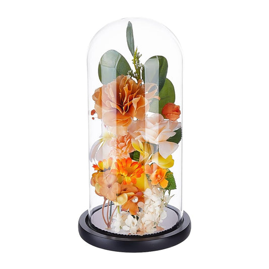 PH PandaHall Glass Cloche Display Dome 5.6x10.9inch Wooden Base Bell Jar Cover Clear Terrarium Display Cloche Bottles Storage Case Decorative Centerpiece Stand for Plants Flower Succulent Home Decor