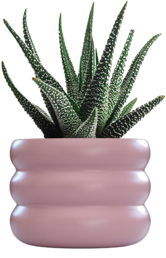 Ludu Boho 5" Round Metal Planters – Modren, Durable & Stylish with Anti-Scratch Pads – Decorative Pots in Warm Matte Colors Shades for Mini Indoor Plants, Succulents, Cactus and Flowers (Orchid Haze)