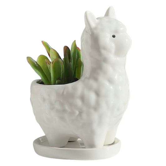 Succulent Planter Pot with Drainage Hole – White Ceramic Animal Pot for Small Plants, Cactus, Flowers – Indoor Outdoor Garden Patio Balcony Decor, Cute Gardening Gift, 6 Inch