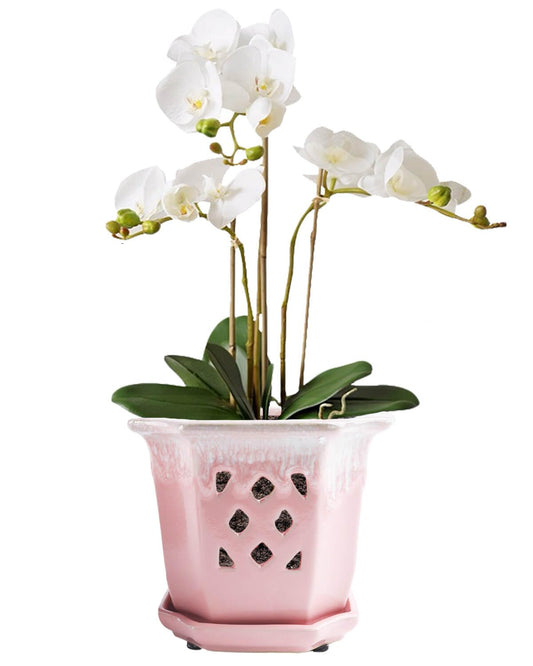 vensovo 6 Inch Ceramic Orchid Pots with Holes - Octagonal Orchid Pots for Repotting, Garden Planter Indoor and Outdoor with Attached Saucer Supports Air Circulation(Pink)