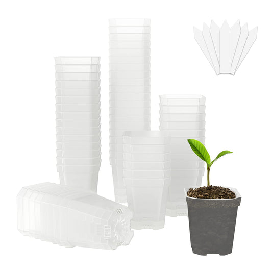 foxany 3" Clear Nursery Pot, 60 Pcs Thick Plastic Square Planting Pots Without Saucers, Plant Seedling Pots, Seed Starting Pots with 100Pcs Plant Labels