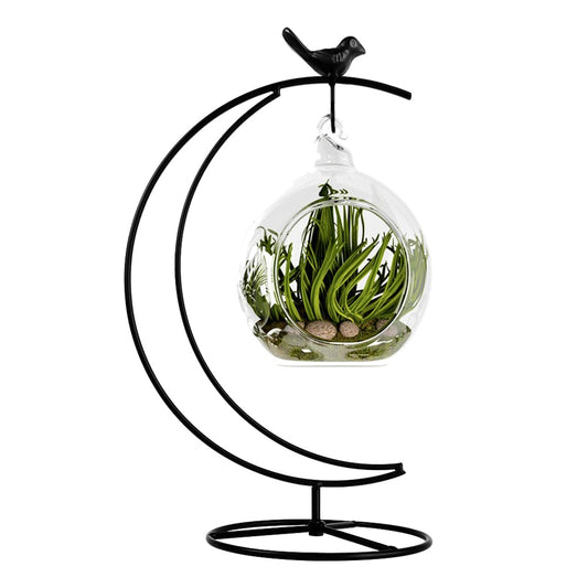 YY YEARCHY Ornament Display Stand Metal Stand Terrarium Air Plant Stand Flower Pot Holder Iron Pothook Stand for Hanging Glass Globe Ball