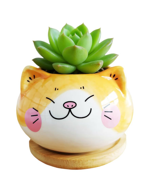 Cuteforyou Cute 3.5 Inches Indoor Cartoon Animal Cat Shaped Ceramic Succulent Cactus Flower Plant Pots with Bamboo Tray-Plant Not Included (Yellow)