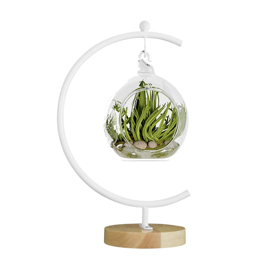 CXLE Big Ornament Display Stand, Iron Pothook Stand for Hanging Glass Globe, Air Plant Terrarium, Witch Ball, Christmas Ornament and Home Wedding Decoration