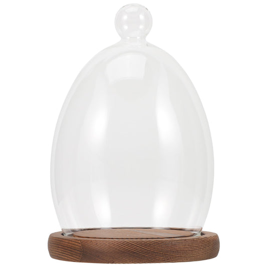 Abaodam Glass Display Dome Cloche with Wooden Base Glass Cloche Dome Display Showcase for Plants Dessert Cake Collectibles Figurine Flower Storage Christmas Party Favor Decoration