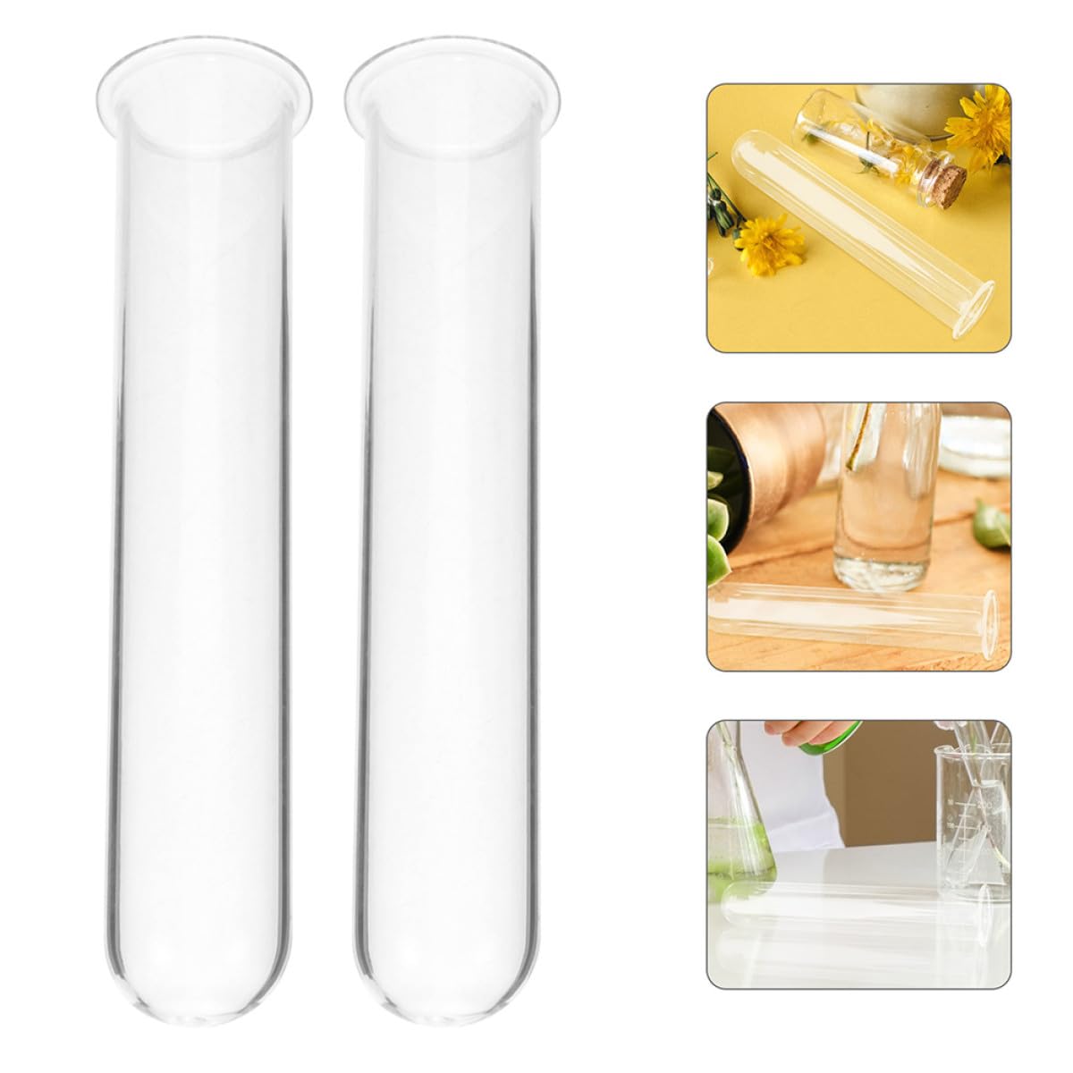 BESPORTBLE 4pcs Glass Test Tube Vase Plant Propagation Tubes Hydroponic Planter Terrariums Desktop Floral for Indoor Plants Home Décor
