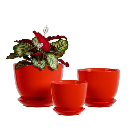 Ceramic Plant Pots - 4"/5"/6" Inch Red Planters Set of 3 with Drainage Holes and Saucer - Indoor Flower Pots for Plants Ceramic Planters for Indoor Gardening Succulent Pots(Red)