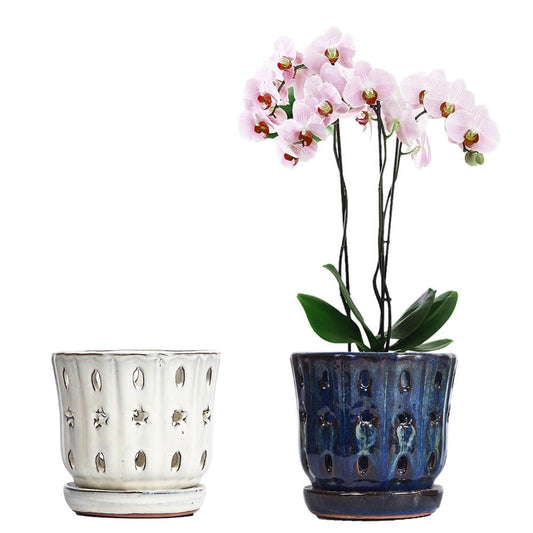 NiSevenLiving Orchid Pots with Holes Attached Saucers 5 Inches - 2 Pcs Small Ceramic Pots for Repotting, Decorative Ceramic Orchid Planter with Hole for Healthy Root Growth (White and Blue)