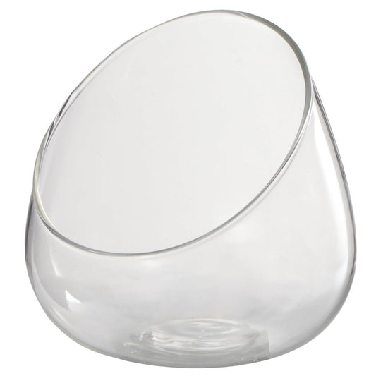 HOMSFOU Slant Cut Glass Terrarium Bowl 4.72 Inch Clear Micro Landscape Container for Succulent and Air Plants Home Office Wedding Decor