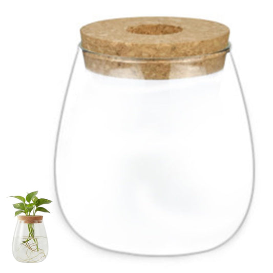 Propagation Vases for Plants, Clear Glass Terrarium Jar with Wooden Stopper for Hydroponics, Creative Home Decor and Tabletop Plant Propagation Station, Terrarium Jar