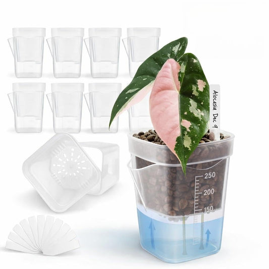 12 Pack 2" Clear Self Watering Pots with Wick System, Water Level Indicator & Drainage Hole, Consistent Moisture for Seedlings, Cuttings, Alocasia Corm & African Violet, 12 Plant Labels Included