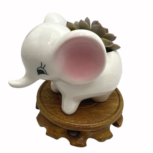 BEECO GIF2U Cute Ceramic Planter Pots,Planters for Indoor Shallow Houseplants Flower and Succulent with Drainage Holes and Wood Tray for Decoration Elephant