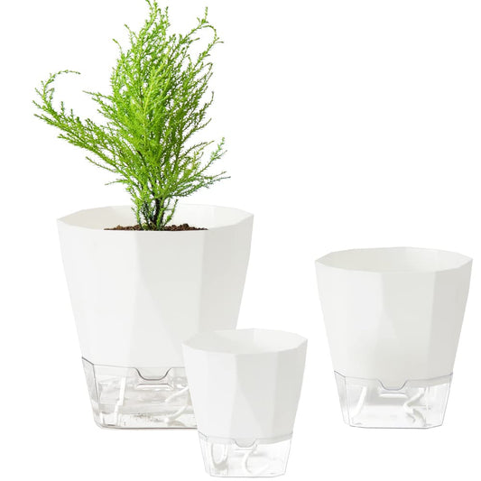 Qimodo 3 Pack 8.5/6.7/5 Inch Plastic Self Watering Indoor Planters,Modern Decorative Plant and Flower Pots for Succulents,Aloe,Herbs,African Violets,Peace Lily with Absorbent Rope,White