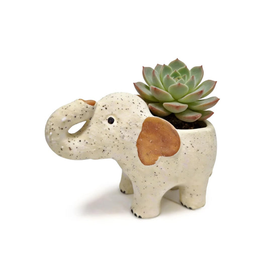 DZHPSRSZ White Elephant Planter Ceramic Elephant Succulent Planter with Drainage Hole, Indoor Outdoor Home Garden Desk Decor,Elephant Flower Pot for Succulents Cactus Air Plants(9.1in)