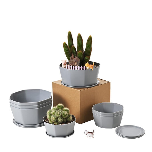 BangQiao 8 Pack 8.00 inch and 5.90 inch Gray Plastic Shallow Plant Pot, Octagon Bowl Planter Container with Pot Tray for Succulents, Cactus