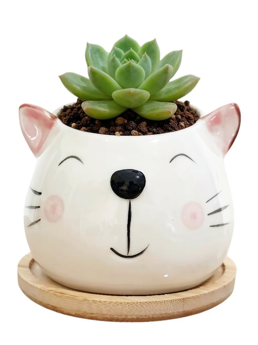 Cuteforyou Cute 3.5 Inches Indoor Cartoon Animal Cat Shaped Ceramic Succulent Cactus Flower Plant Pots with Bamboo Tray-Plant Not Included (White)