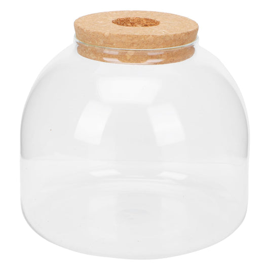 VANZACK 1set Glass Terrarium Container for Microlandscape Decor Transparent Bottle for Indoor and Outdoor Creative Plant Displays for Use