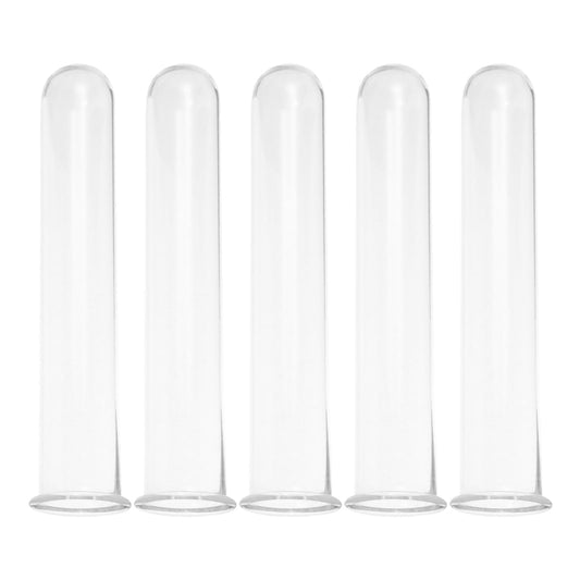 STAHAD Glass Hydroponic Vase Plant Propagation Tubes 5pcs 2.5x3x15cm Test Tubes for Small Terrarium Plants Home Desk Decoration