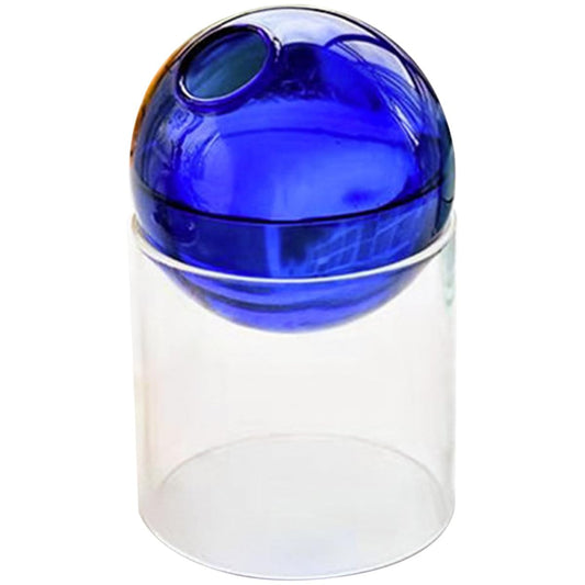 minkissy Colored Glass Vase Large Blue Round Hydroponic Flower Planter Desktop Glass Plant Terrarium for Living Room Table Décor