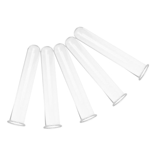 LIFKOME 5pcs Glass Test Tube Vase for Hydroponic Garden Plant Propagation Tube Terrarium Plant Decor Vintage Style