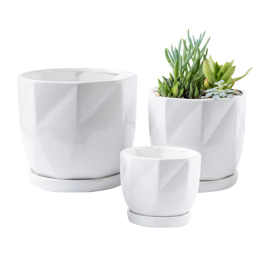 Royal Imports Ceramic Planter, Decorative Plant Pot Flower Vase for Indoor Outdoor Garden, Porch, Home with Saucer/Drip Tray and Drainage Hole, Great for Succulents, Cactus, Bamboo - White, Set of 3