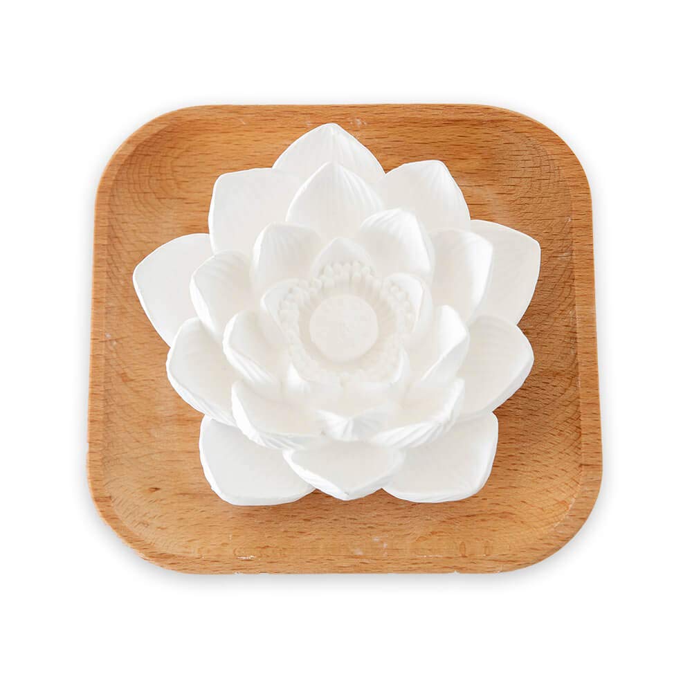 Plant Therapy Passive Lotus Flower Aromatherapy Diffuser - A Chic and Natural Home, Office, and Travel Essential Oil Diffuser