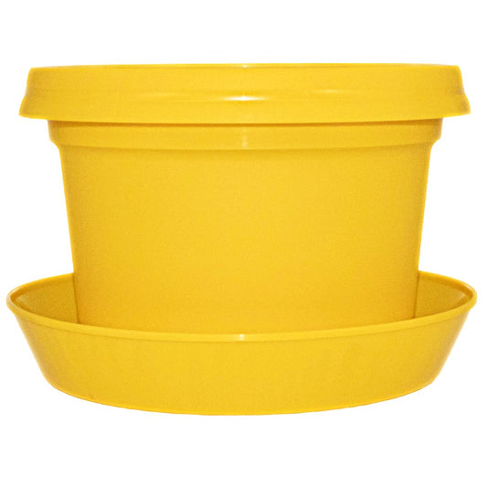 Austin Planter Single Pot with Saucer, 9 inch Yellow, Plastic Flower Pot with Saucer, Seedlings Planter, Nursery Planter, Colorful Flower Planter, Seed Starting Pot