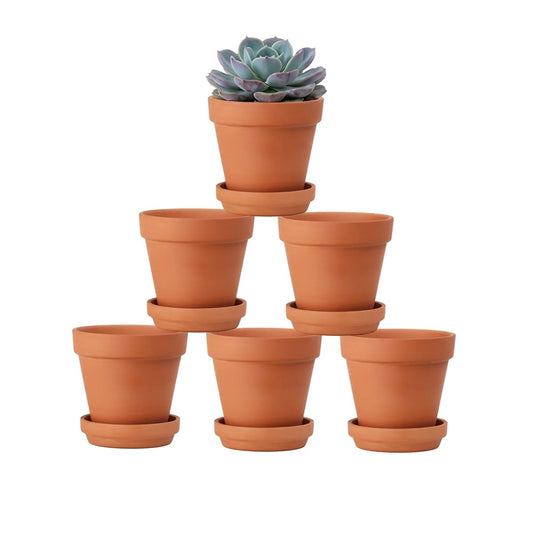 Riseuvo 4 Inch Terracotta Pots with Saucer – 6 Pack Small Clay Flower Pots with Drainage Hole for Succulents, Herbs, Indoor & Outdoor Plants, Wedding Favors