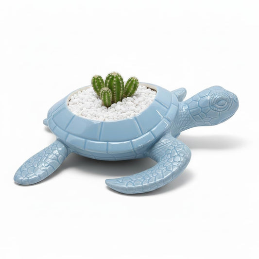 Comfy Hour 9" Sea Turtle Figurine Style Succulent Planter, Decorative Animal Flower Pot for Cactus and Small Plants, Ocean Theme Home Decor Statue (Light Blue)