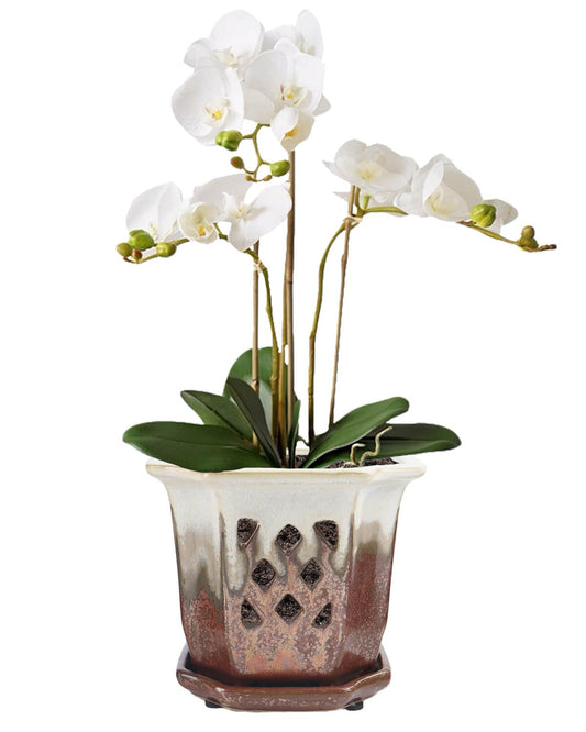 vensovo 6 Inch Ceramic Orchid Pots with Holes - Octagonal Orchid Pots for Repotting, Garden Planter Indoor and Outdoor with Attached Saucer Supports Air Circulation(Brown)