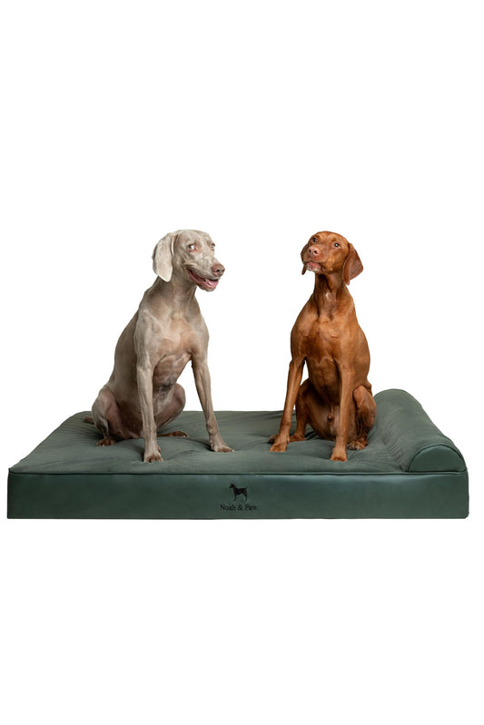 NOAH & PAW Giant Dog Bed XXL 55x45x9.5 Inch, Orthopedic Dog Beds, Eggshell Memory Foam Infused with Cooling Gel, Waterproof, Machine Washable, Includes Inner Cover (Faux Leather)