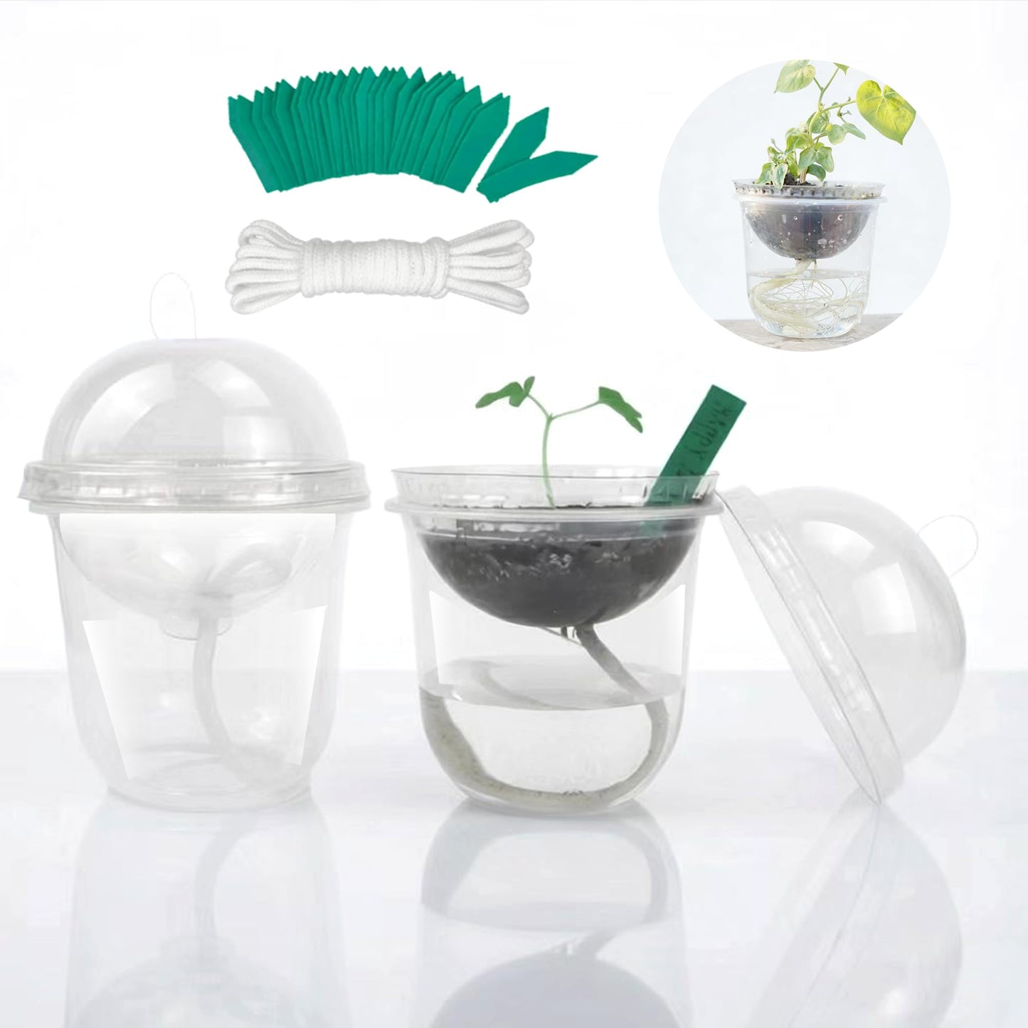 ORIMERC 30 Set Nursery Pots with Humidity Dome, Clear Nursery Pots with Drainage, Self Watering Small Plant Pots, Seedling Pots for Plants, Seed Starter Pots for Planting Vegetables Fruit Flower