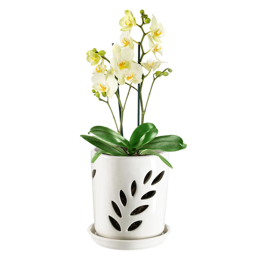 Aulock 4in Ceramic Orchid Pot with Drainage Holes, Decorative Planter, Excellent Airflow for Healthy Roots, for Repotting Indoor