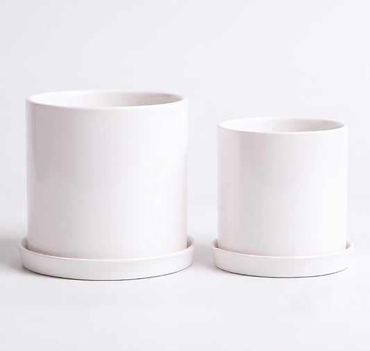 TERRASTELLA Ceramic Plant Pots with Saucers 5.3+4.3 Inch, Set of 2 Small White Flower Pots for Succulents, Herbs, Small Indoor Plants, with Drainage Hole, Mesh Pads & Plugs, Modern Home Decor Gift