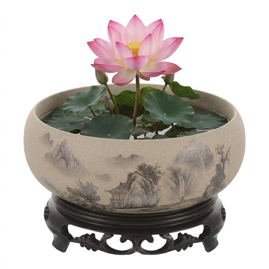 Kisangel Lotus Bowl Planter for Water Lilies, 6.68" No-Hole Coarse Pottery Water Lily Pot with Base, Compact Lotus Bowl for Indoor Zen Desktop Decor & Aquatic Plants