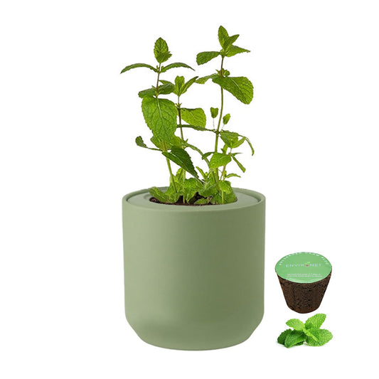 Environet Hydroponic Herb Growing Kit, Self-Watering Kitchen Herb Garden Starter Kit with Green Ceramic Pot and Seeds (Mint)