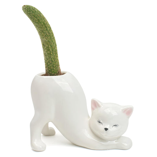 Cute Cat Planter Pot Indoor Flower Vase, Kitty Sloth Plant Holder Butt Shaped, Unique Tailless Succulent Ceramic Animal Display, Ceramic Bonsai Gift, Lovely Office Desk Living Room Home Outdoor Decor