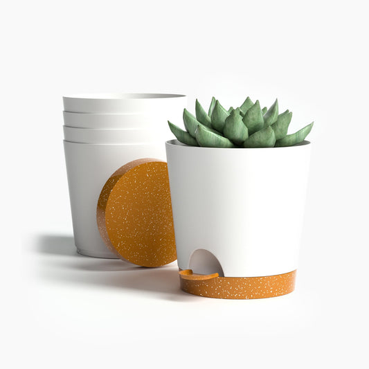 Lotyeter 4 inch Small Plant Pots for Outdoor Indoor Plants, 5 Pack Planters with Drainage Holes and Tray, Small Self Watering Pots for Succulent,Cactus, Aloe and Other Plants (White)