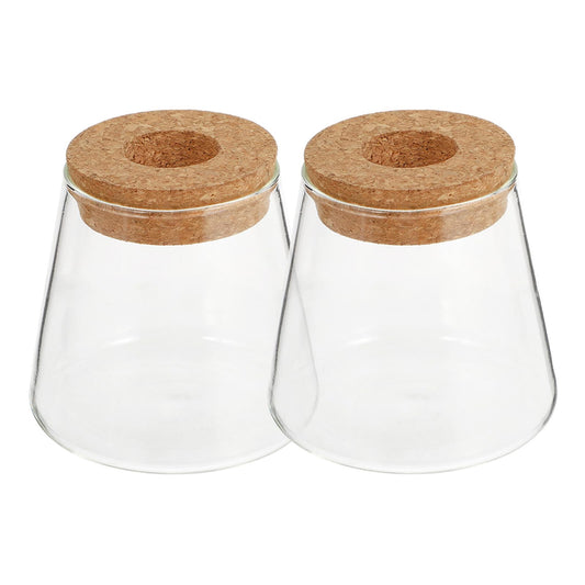 Healifty 2pcs Hydroponic Glass Planter Vases 6.5cm Mouth Diameter Glass Terrarium Plant Containers for Home Office Garden Decoration